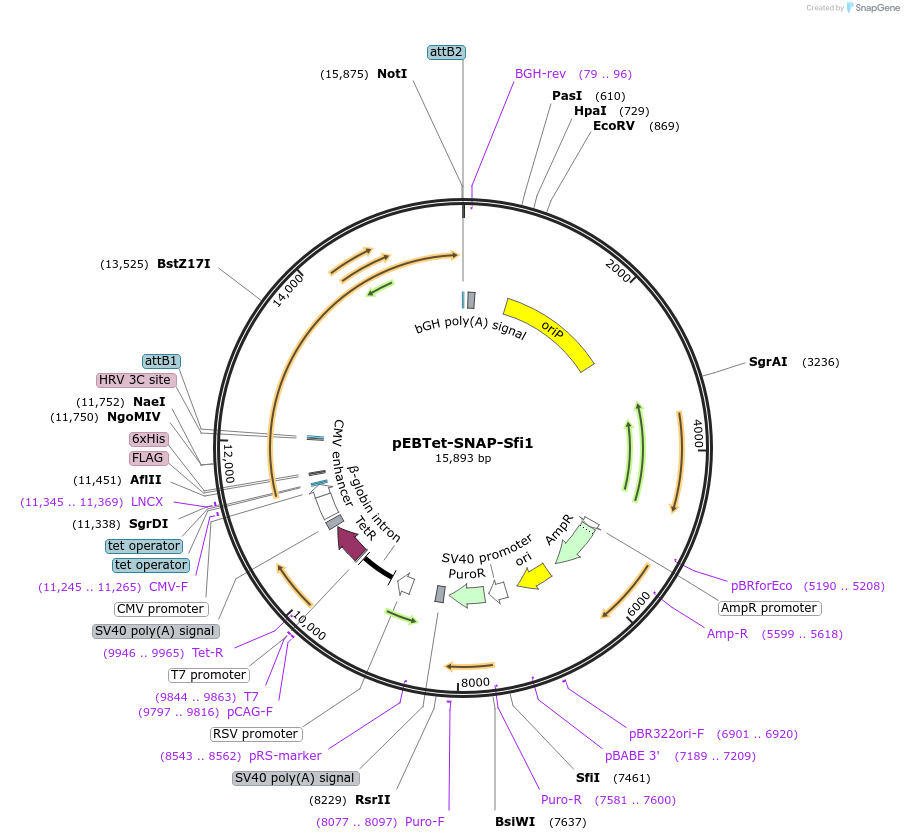 264020_map