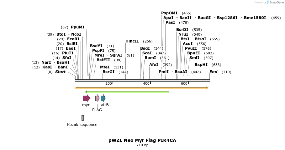 26403_map