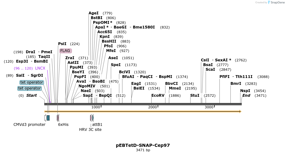 264035_map