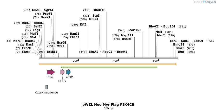26404_map