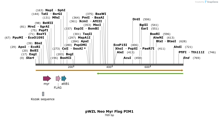 26405_map