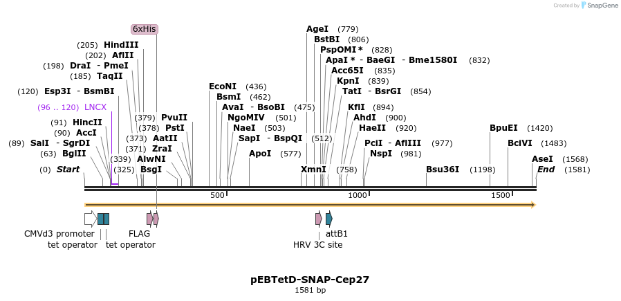 264051_map