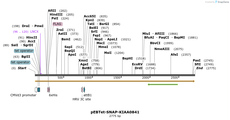 264053_map