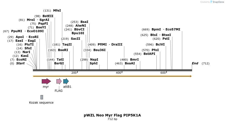 26406_map