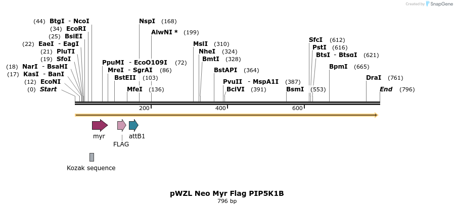 26407_map