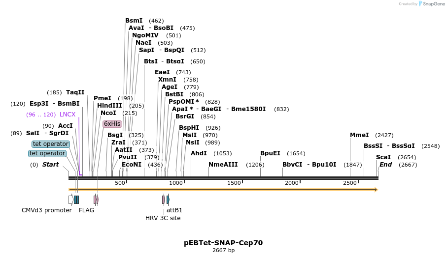 264075_map