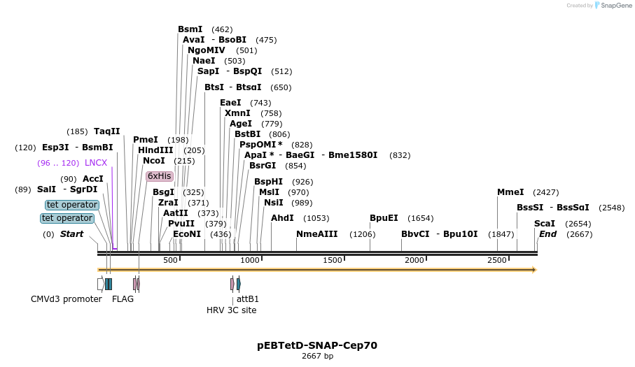 264077_map