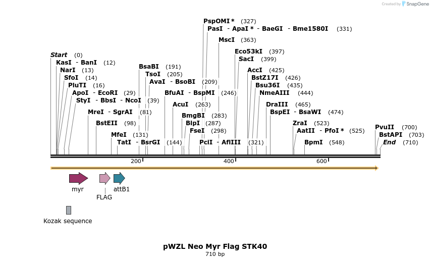 26408_map