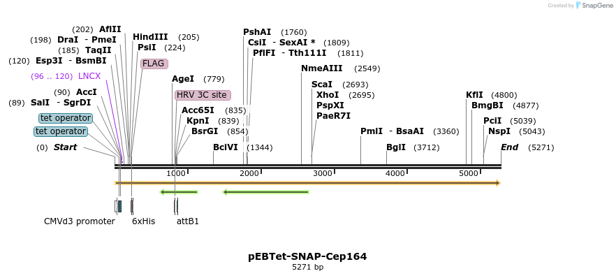 264081_map