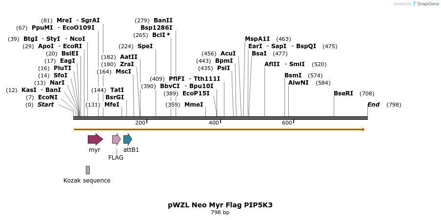 26409_map