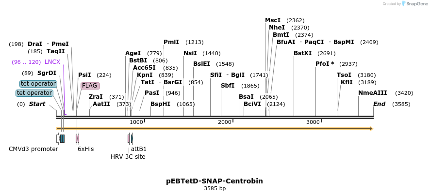 264091_map