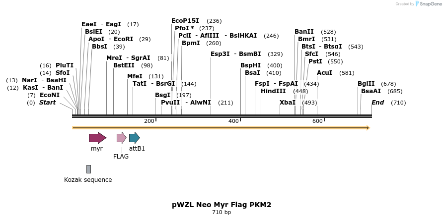 26410_map