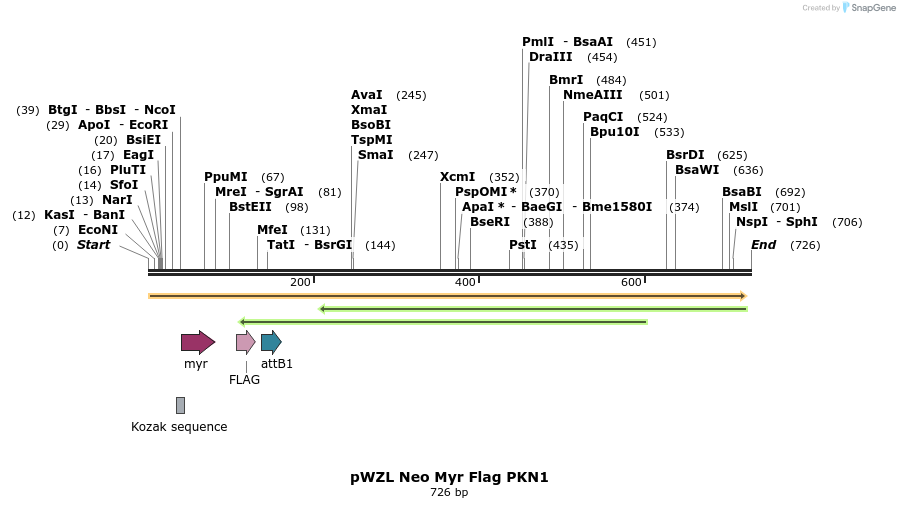 26411_map