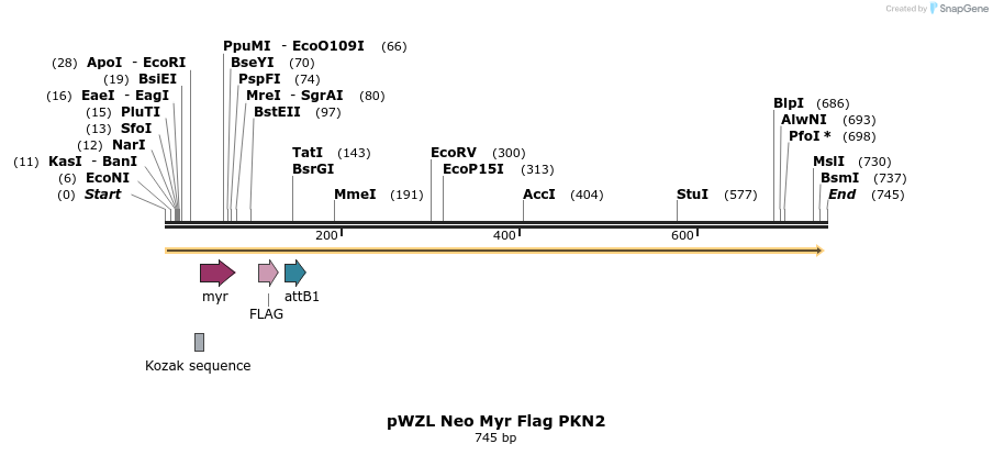 26412_map