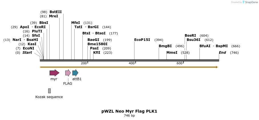 26414_map