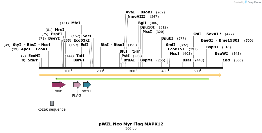 26417_map