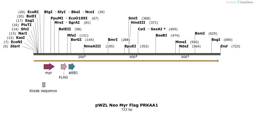 26420_map