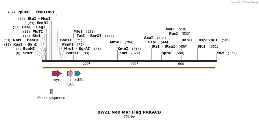 26421_map