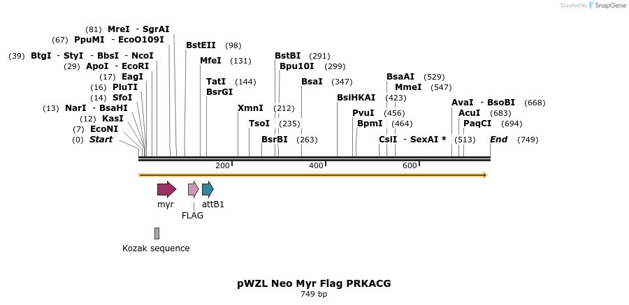 26422_map
