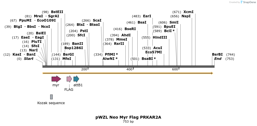 26425_map