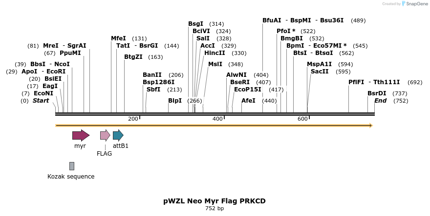 26427_map