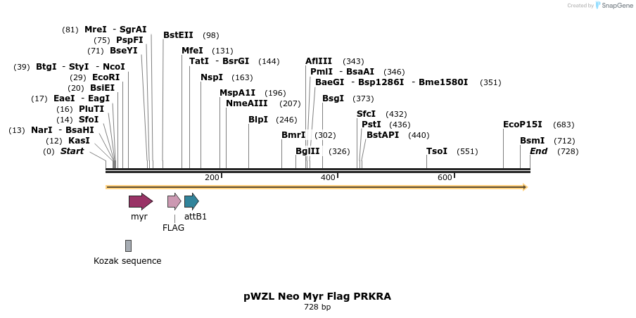 26432_map