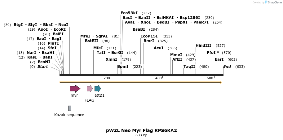 26447_map