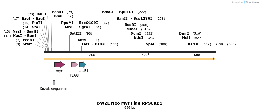 26451_map