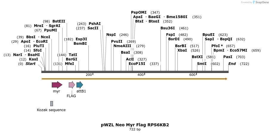 26452_map