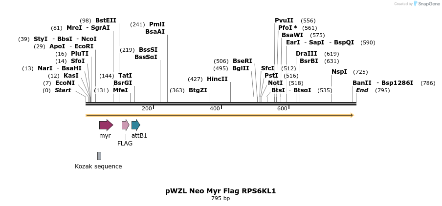 26453_map