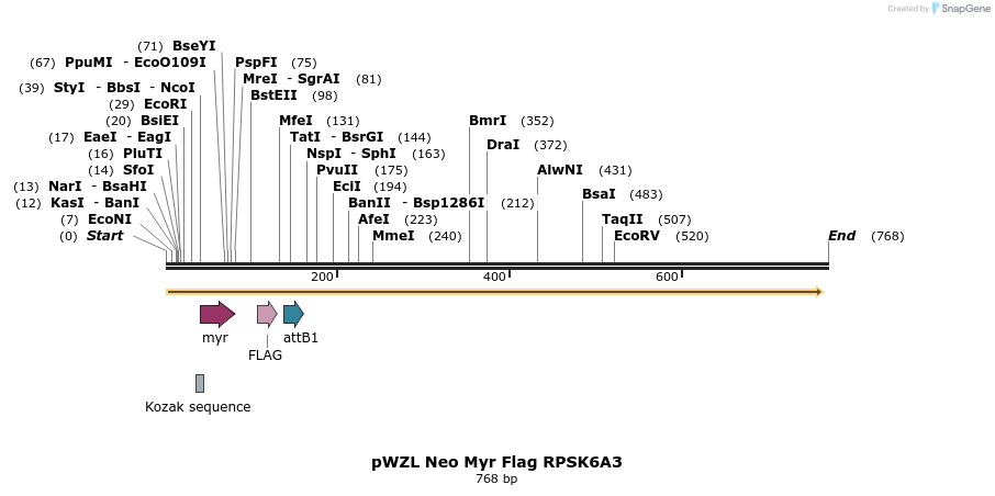 26454_map