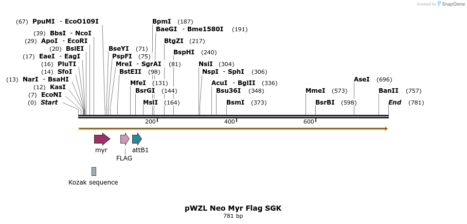 26455_map