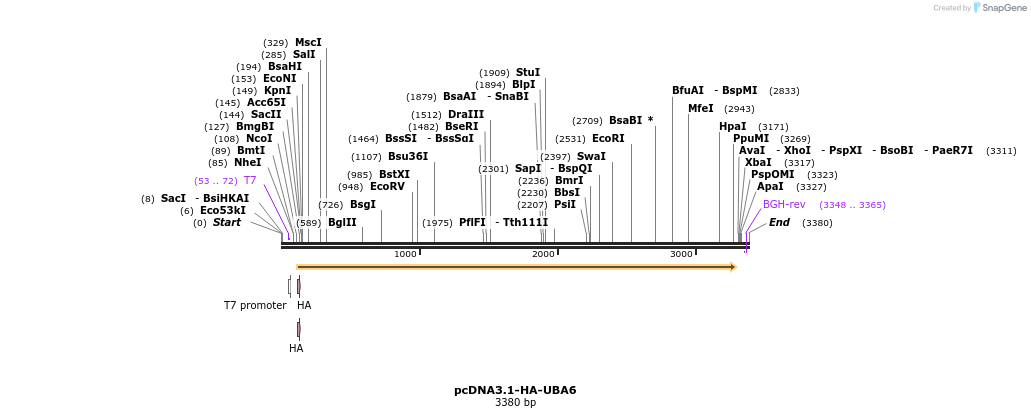 264566_map