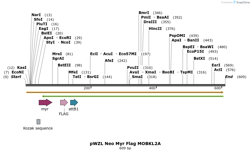 26460_map