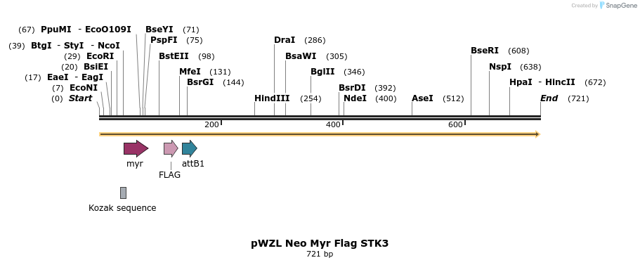 26464_map