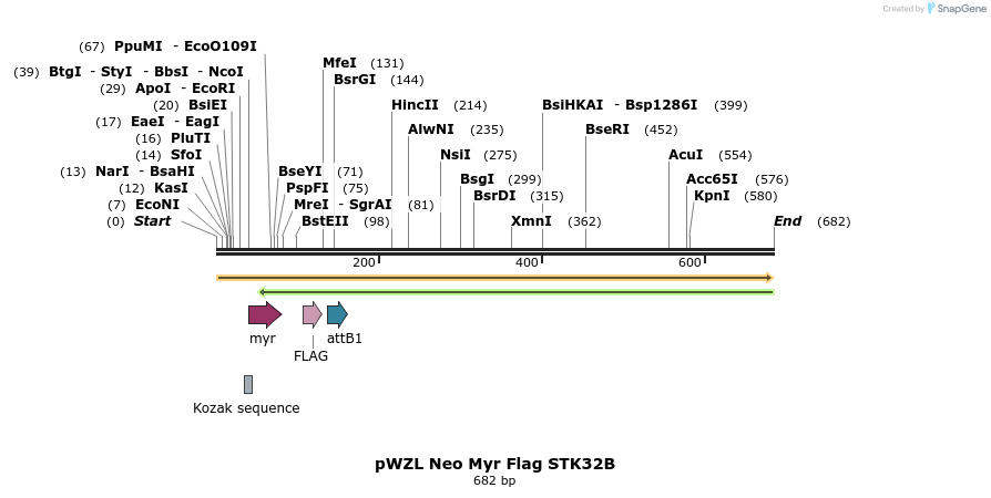 26466_map