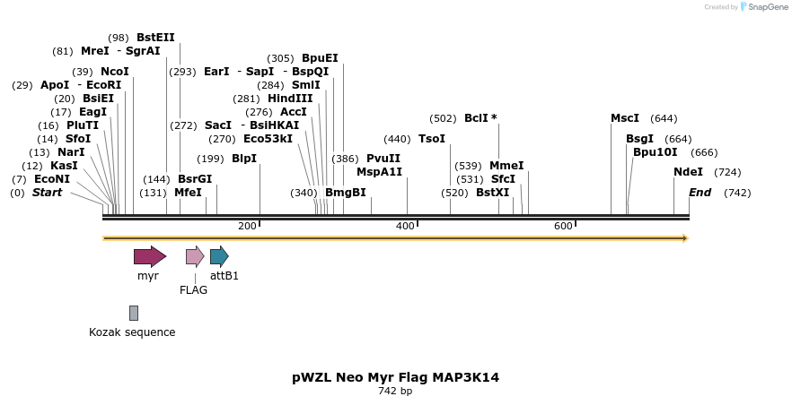 26467_map