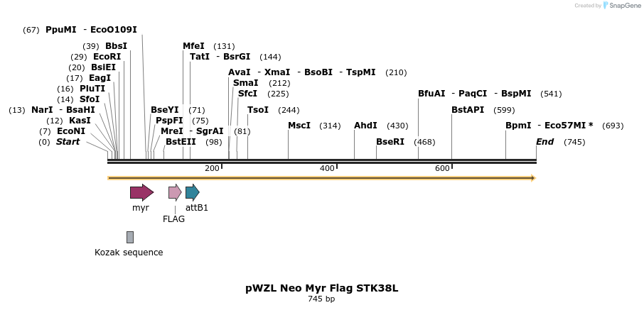 26469_map