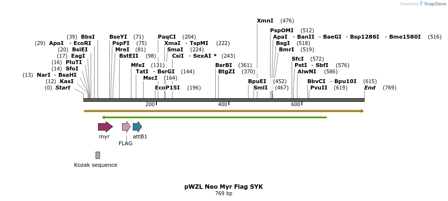26473_map
