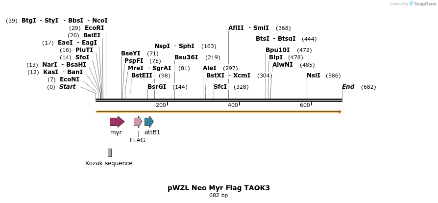 26474_map