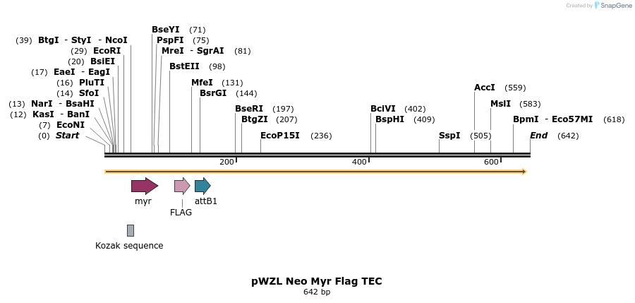 26476_map