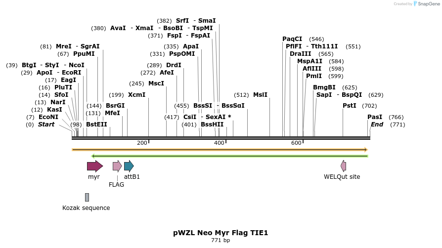 26478_map