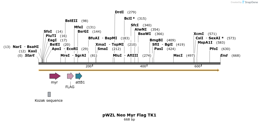 26479_map