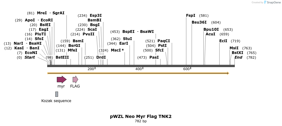 26481_map