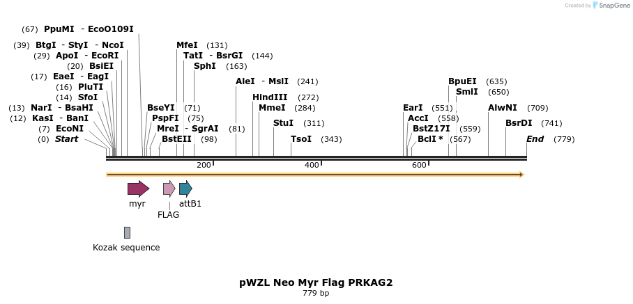 26483_map