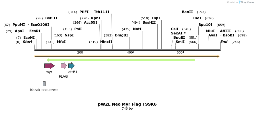 26485_map