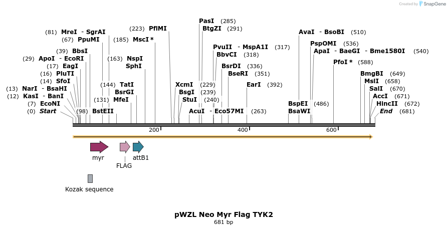 26487_map