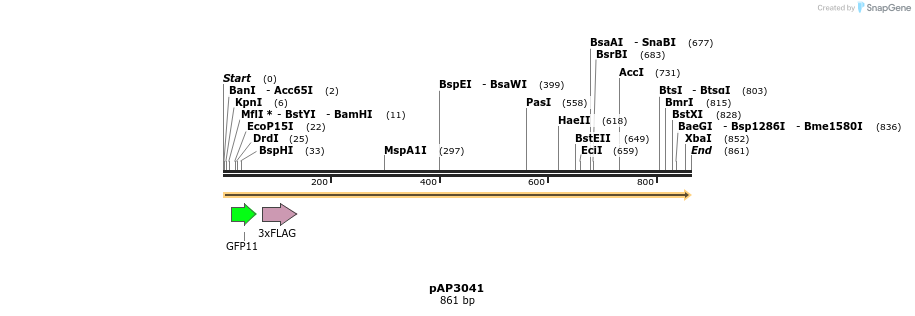 264893_map