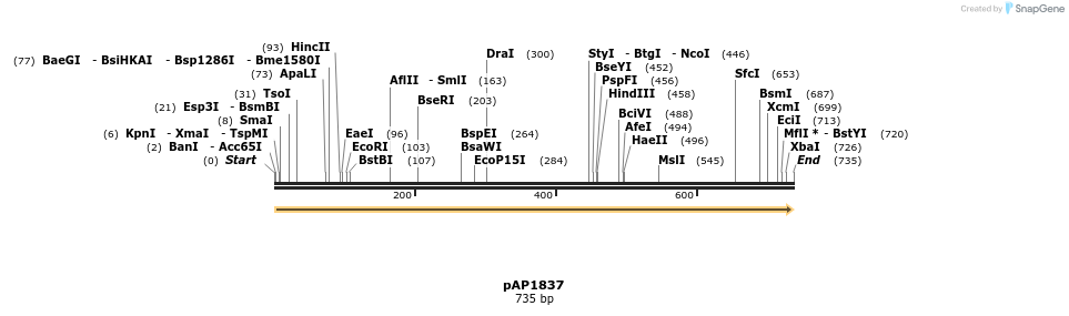 264896_map