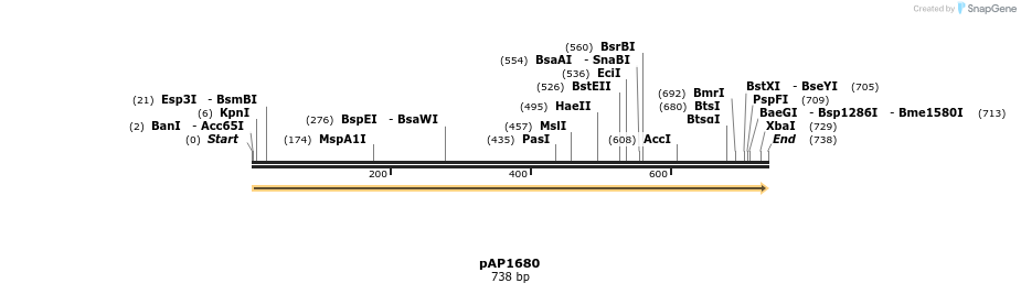 264898_map